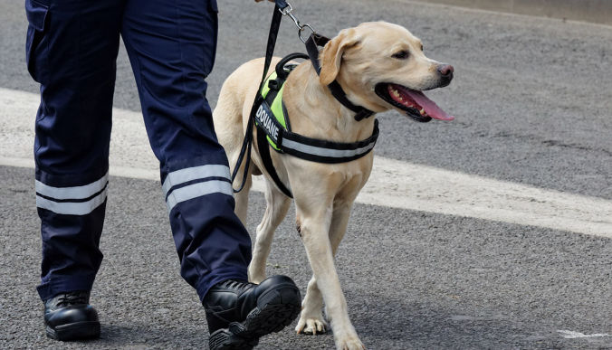 Presentation - SOKKS-MPTS: for drug and explosive Detection Dog Training to support K9, canine police, military and working dogs.