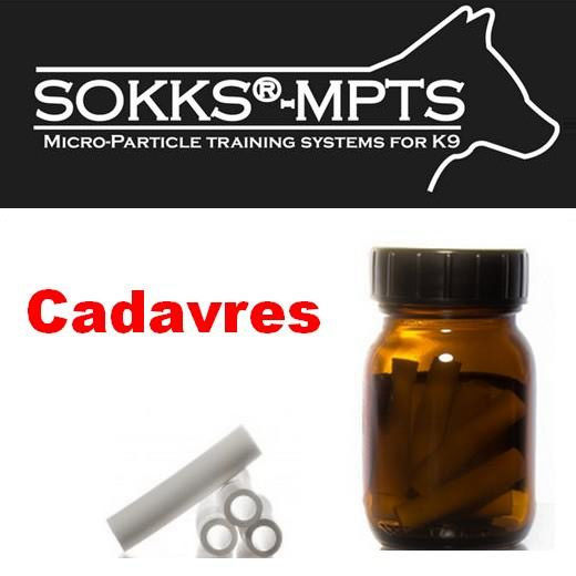 Aide à la formation des chiens à la détection des Cadavres