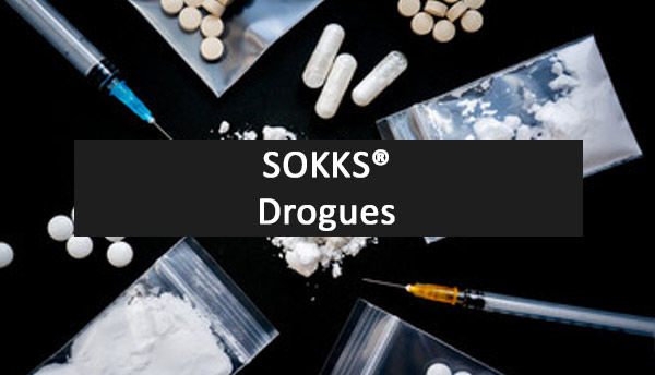 SOKKS, MPTS : pour chien de détection Explosifs, drogues,...