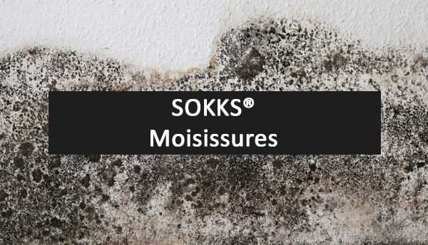 SOKKS, MPTS : pour chien de détection des moisissures