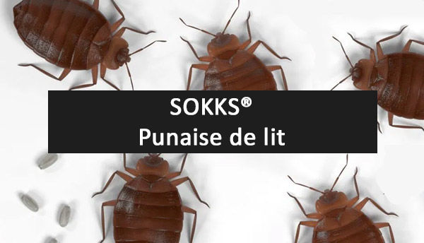 SOKKS, MPTS : pour chien de détection Explosifs, drogues,...